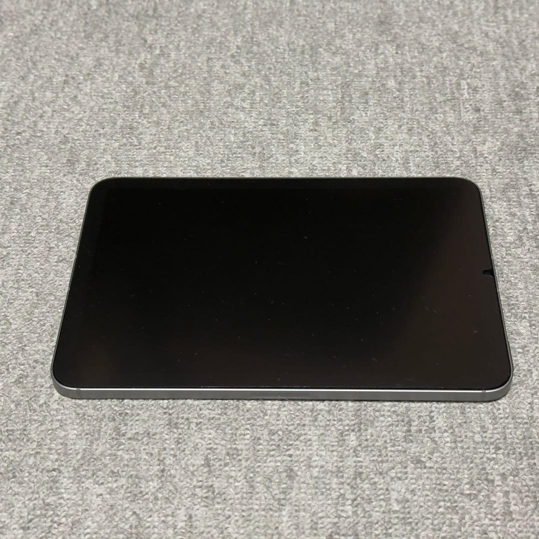 iPad本体 Apple iPad mini A17 Pro Cellular 128GB