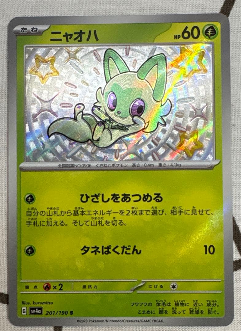 色違い　ミミッキュ　ピカチュウ　ニャオハ　3枚セット