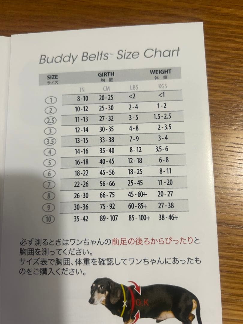 バディベルトBuddy Belts ハーネスリード スポーツ ピンクサイズ4