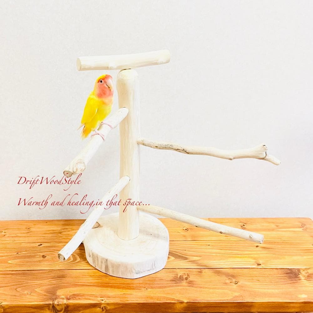 取り外しできる天然流木の止まり木 Mサイズ スタンド 木製 インコ N5