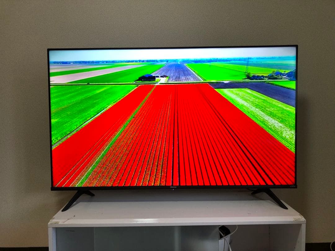 ハイセンス 50V型 4K液晶テレビ50E65G 2022年製