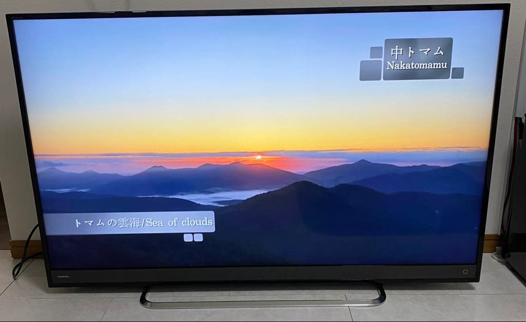 東芝 REGZA 50V型　4K 液晶テレビ 50M500X 動画アプリ搭載