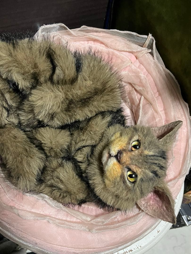 猫 キジトラ ぬいぐるみ マンチカン