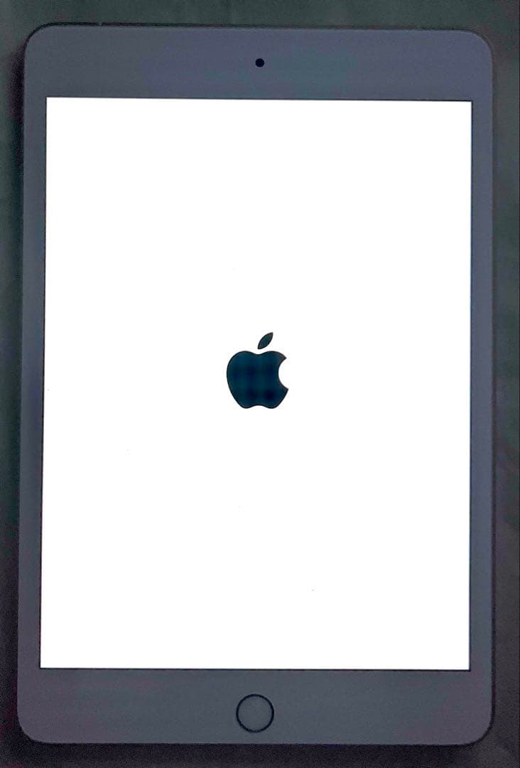 iPad Mini 第5世代 セルラーモデル 256GB ゴールド 中古品