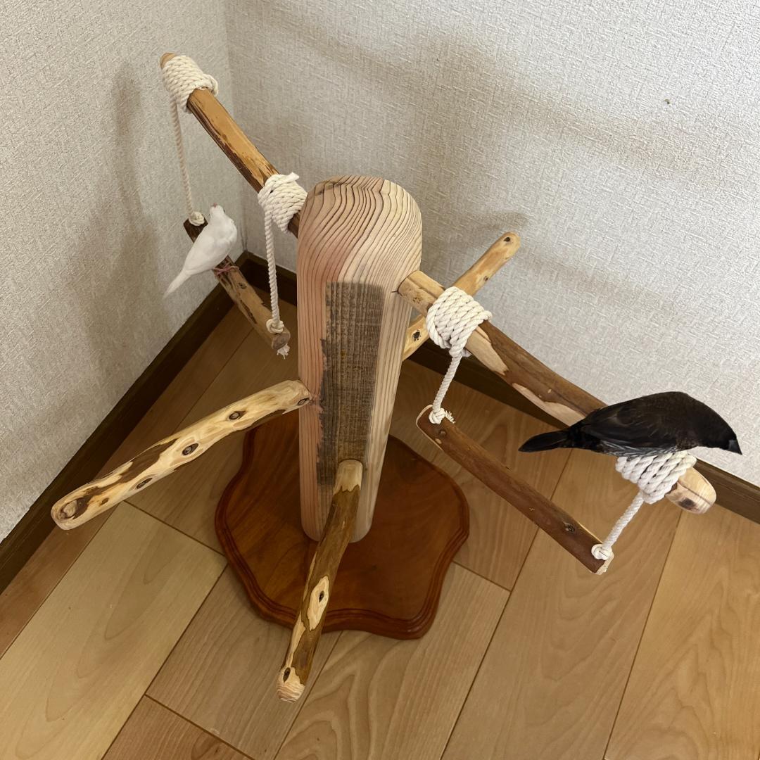 【中型鳥用】ブランコ♫バードアスレチック