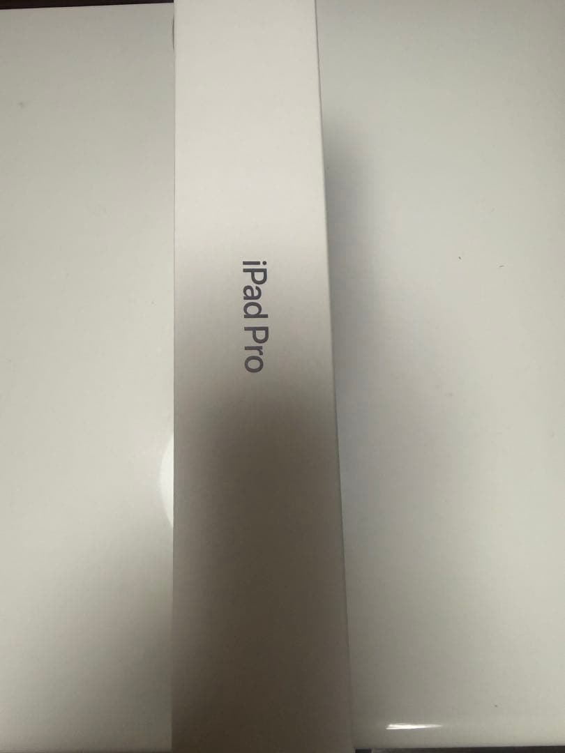 Apple iPad Pro 11インチ ブラック本体