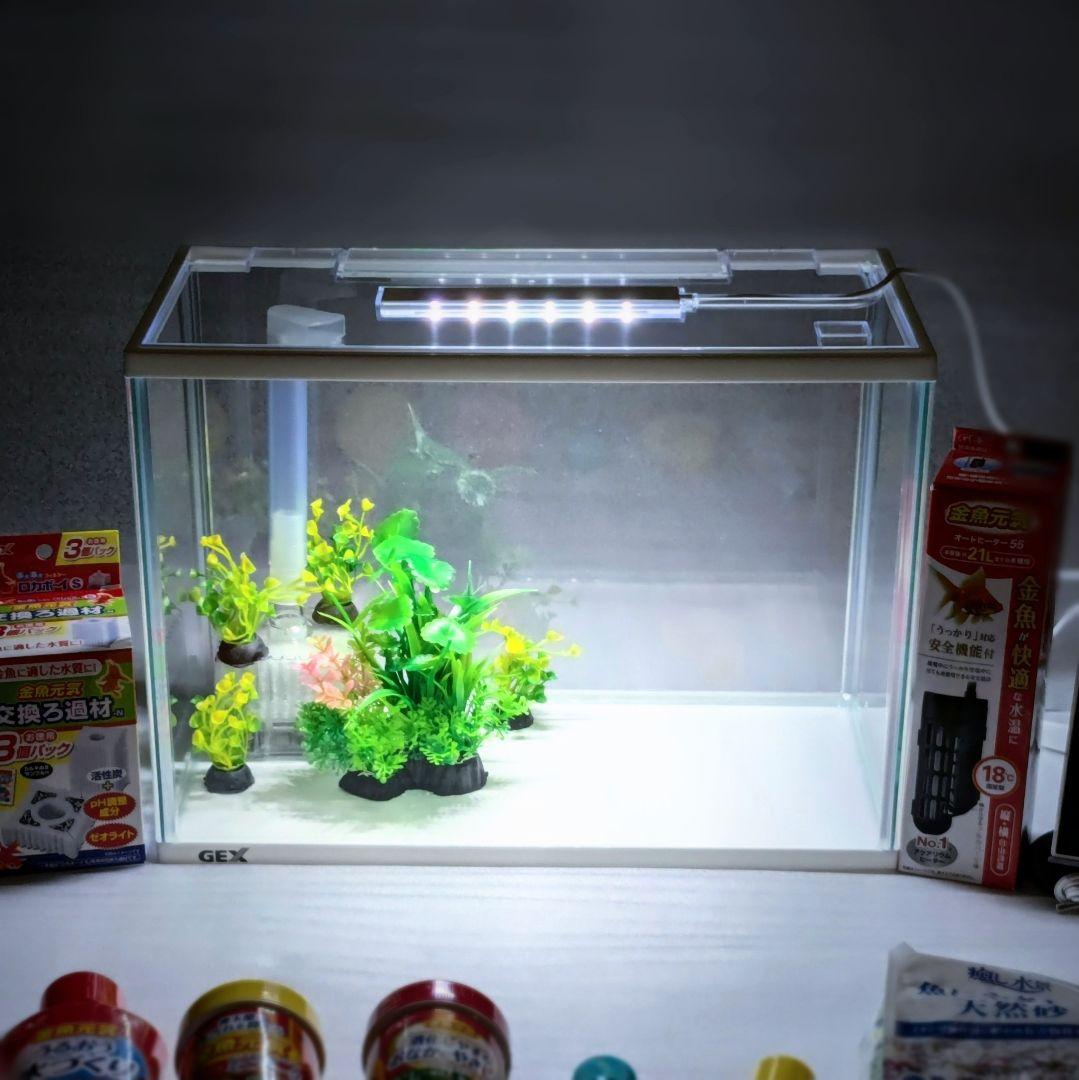 GEX 金魚元気 ぶくぶく水キレイセットM ロカボーイS付　水槽スターターセット