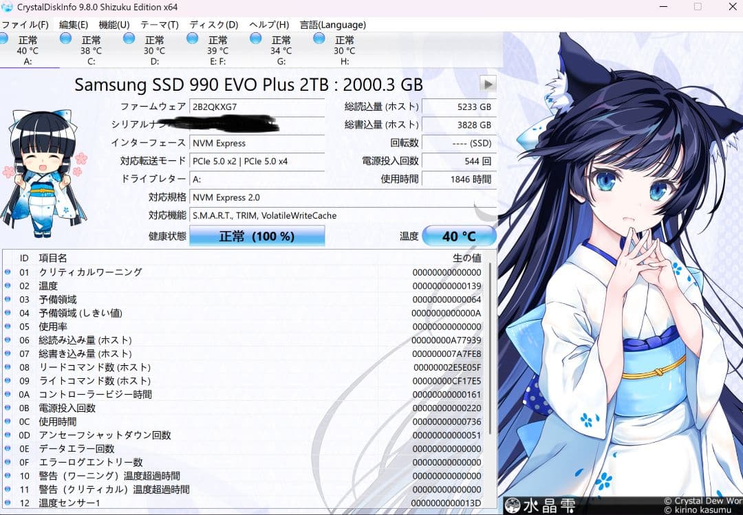 Samsung 990 EVO Plus 2TB SSD 中古品