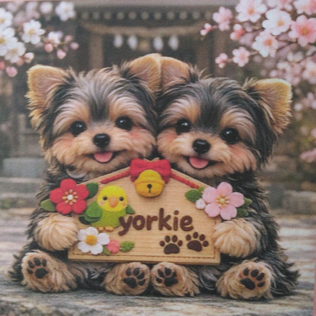 ☆受付☆ヨーキー