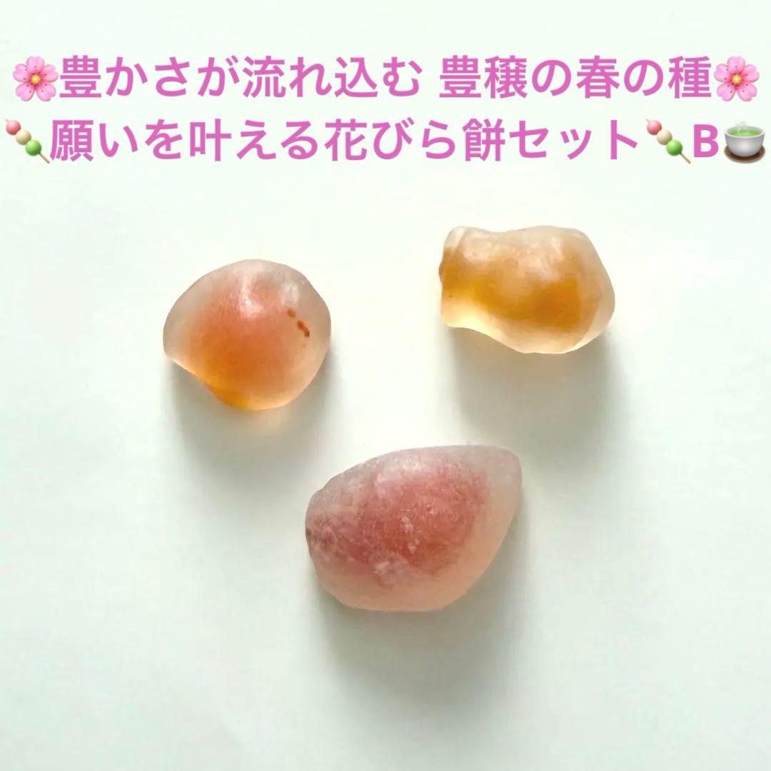 【限定3セット】豊かさが流れ込む黄金エネルギー入り✴︎豊穣の春の種セットB