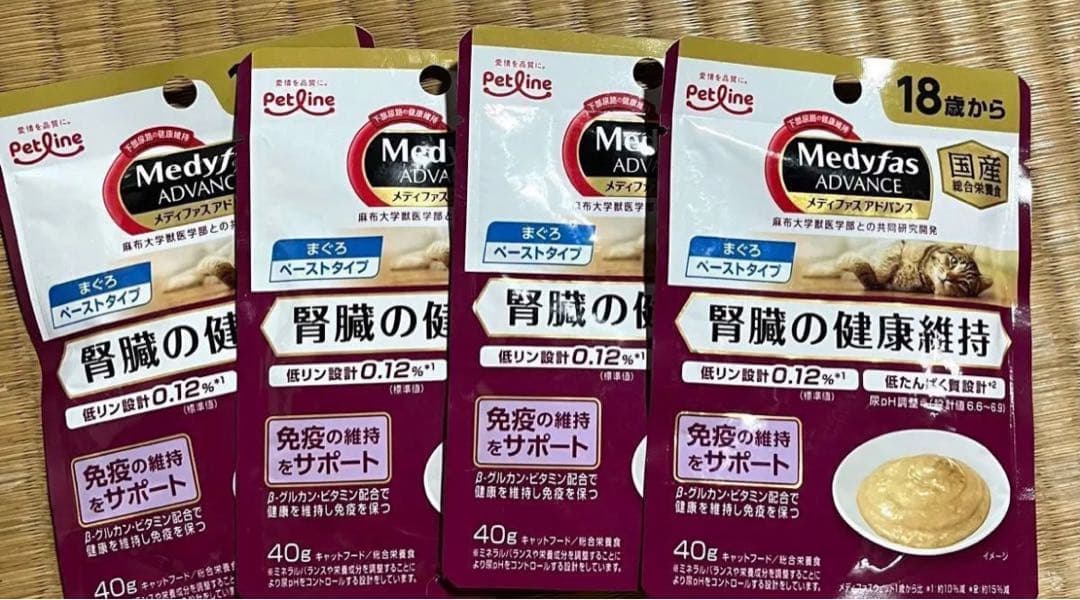 シニア　ウエット