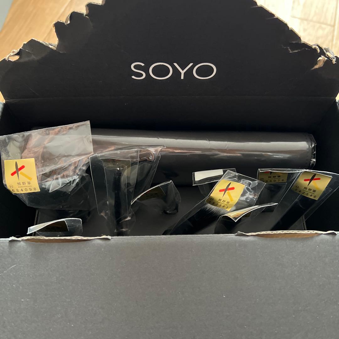SOYO メイクブラシ ディスカバーフルセット〈10本➕ケース付き〉