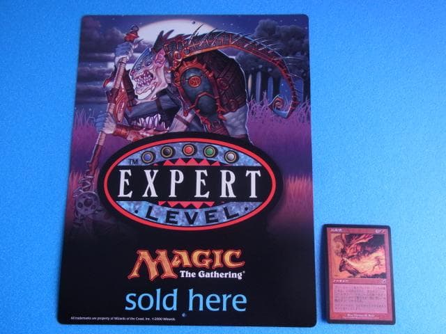 非売品　マジック・ザ・ギャザリング　MTG　EXPERT　販促品　両面　店頭用