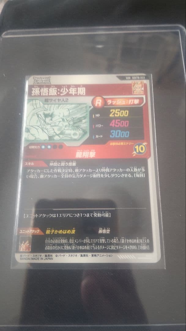 プレバンダイバーズバインダー40thカードのみ７種