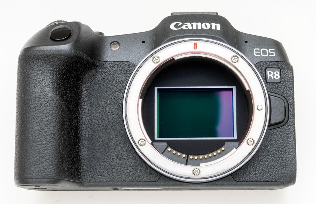 Canon EOS R8 （Smallrigケージ、予備電池、リモコン付き）