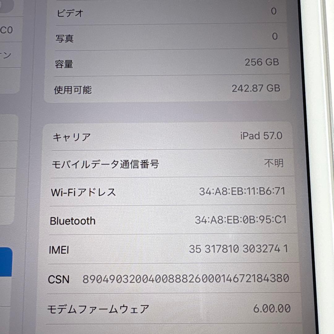 【美品】iPad mini5 Wi-Fi+Cellular モデル 256GB