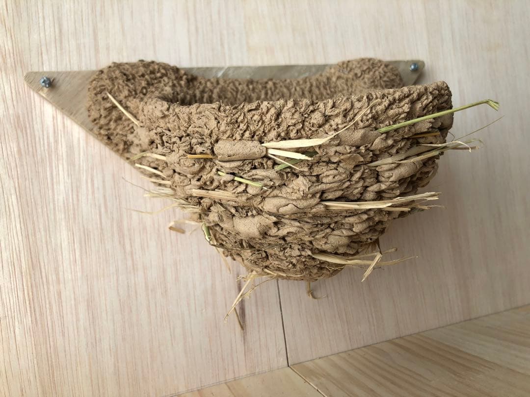 ツバメの人工巣　壁付け用タイプ板貼り付き　新品・未使用品　26-B-4