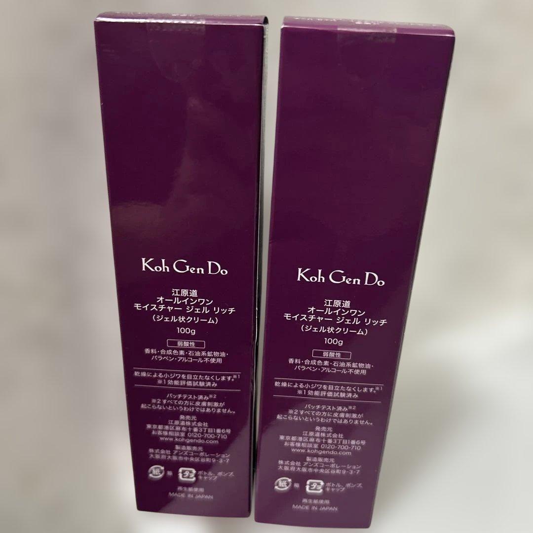 江原道 オールインワン モイスチャー ジェル 100g 2個　⚠️新品未使用⚠️