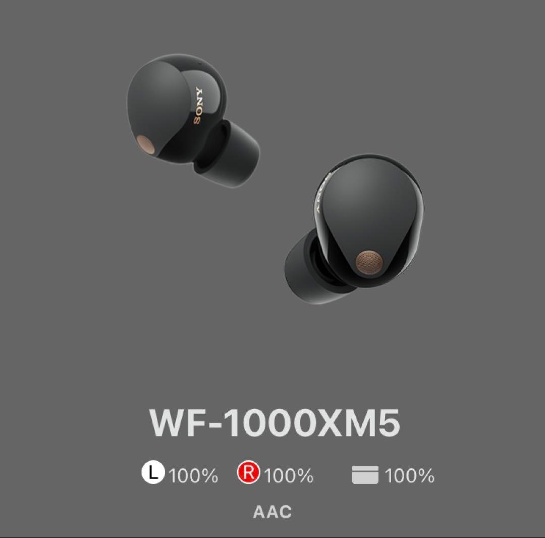 SONY wf-1000xm5 ワイヤレスイヤホン ブラック