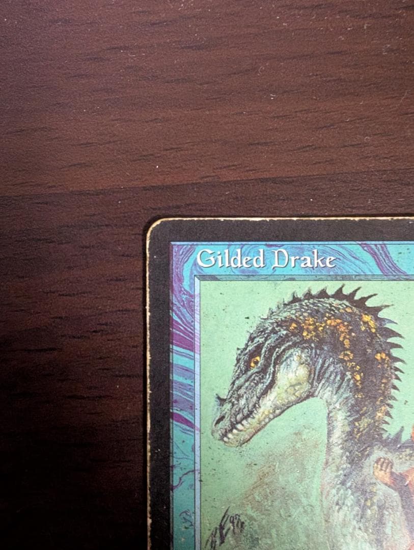 MTG 金粉のドレイク Gilded Drake 英語版 MP