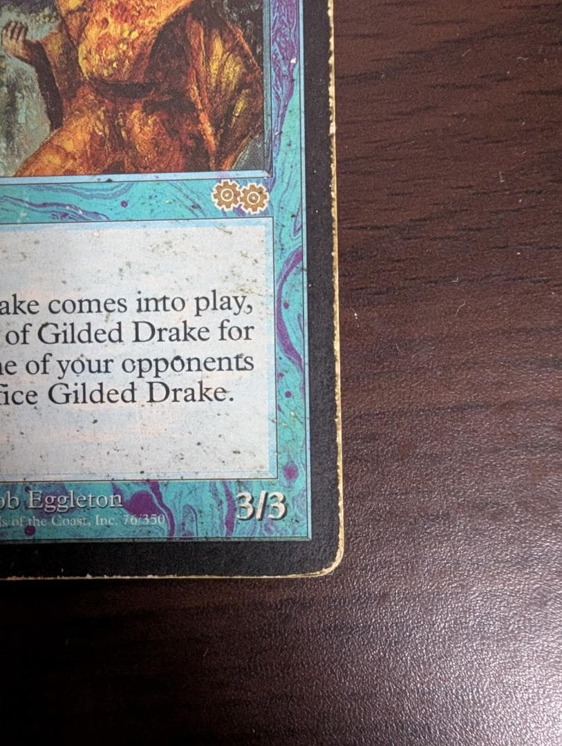 MTG 金粉のドレイク Gilded Drake 英語版 MP