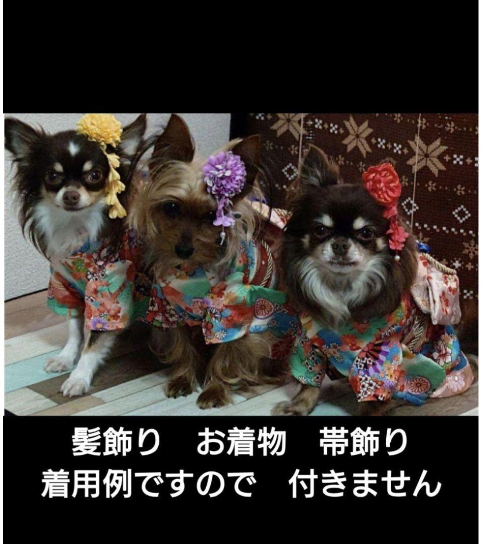 ONEKOSAMA OINUSAMA　犬着物　犬浴衣　お花見　誕生日　撮影会　③