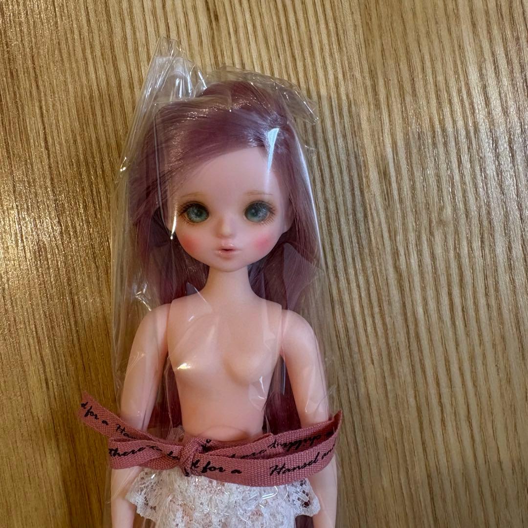 DOLCE 1/6 Pudding Doll ラズベリー