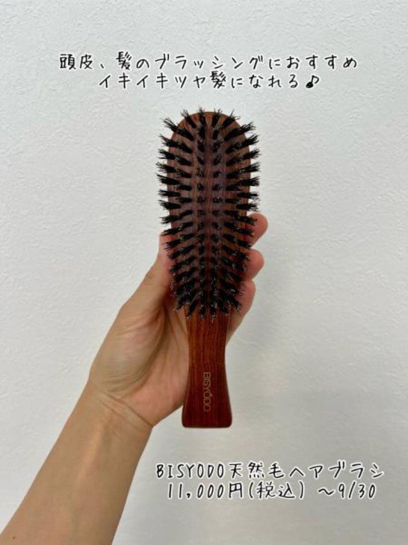 BISYODO HB-02 天然毛ヘアブラシ ミニサイズ
