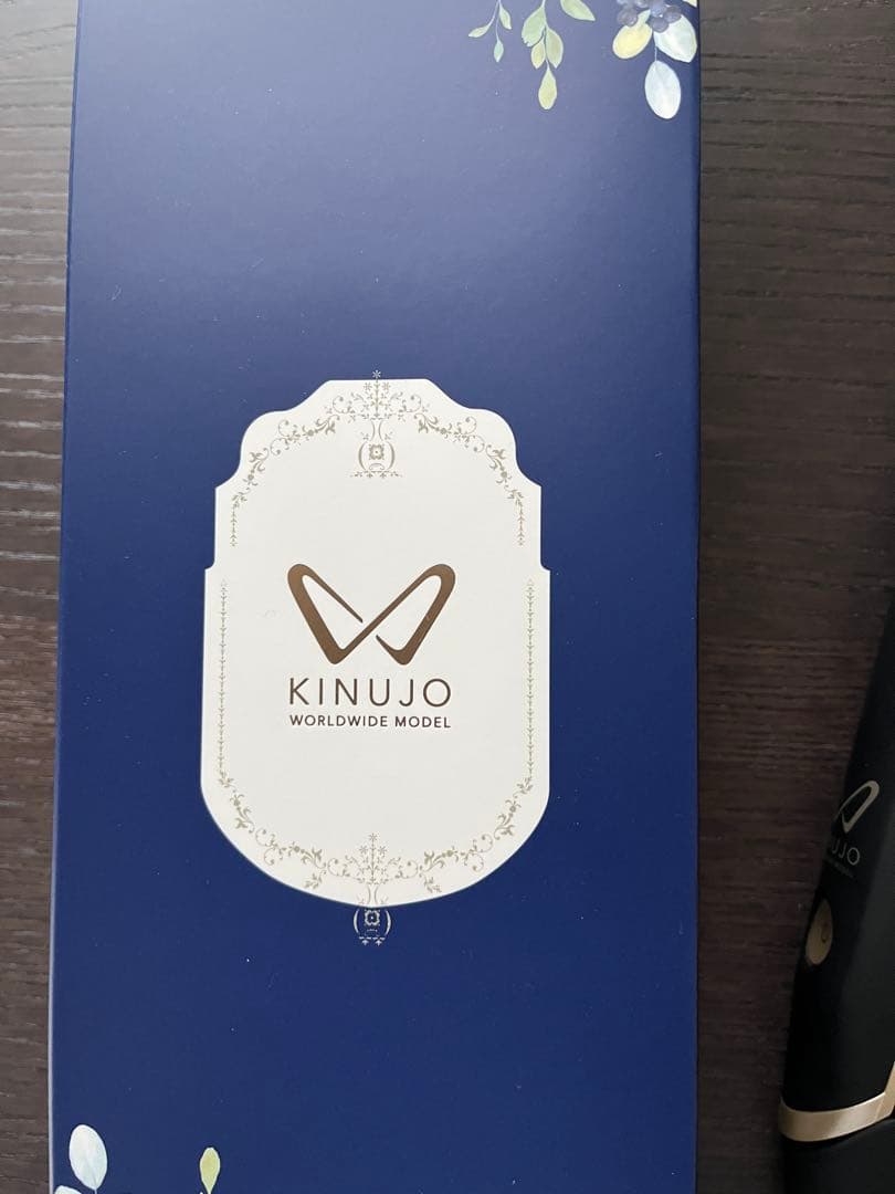 正規品　 絹女 KINUJO DS200 海外兼用ストレートアイロン