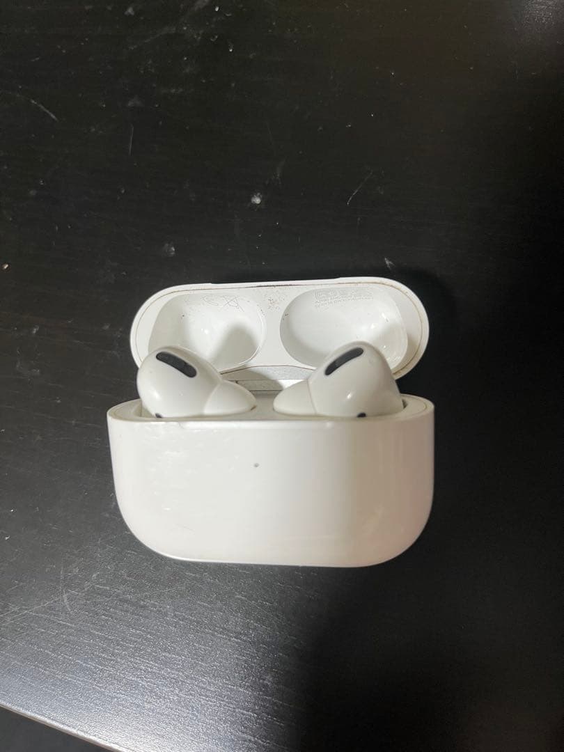 Apple AirPods Pro 本体　ケース　片耳不良