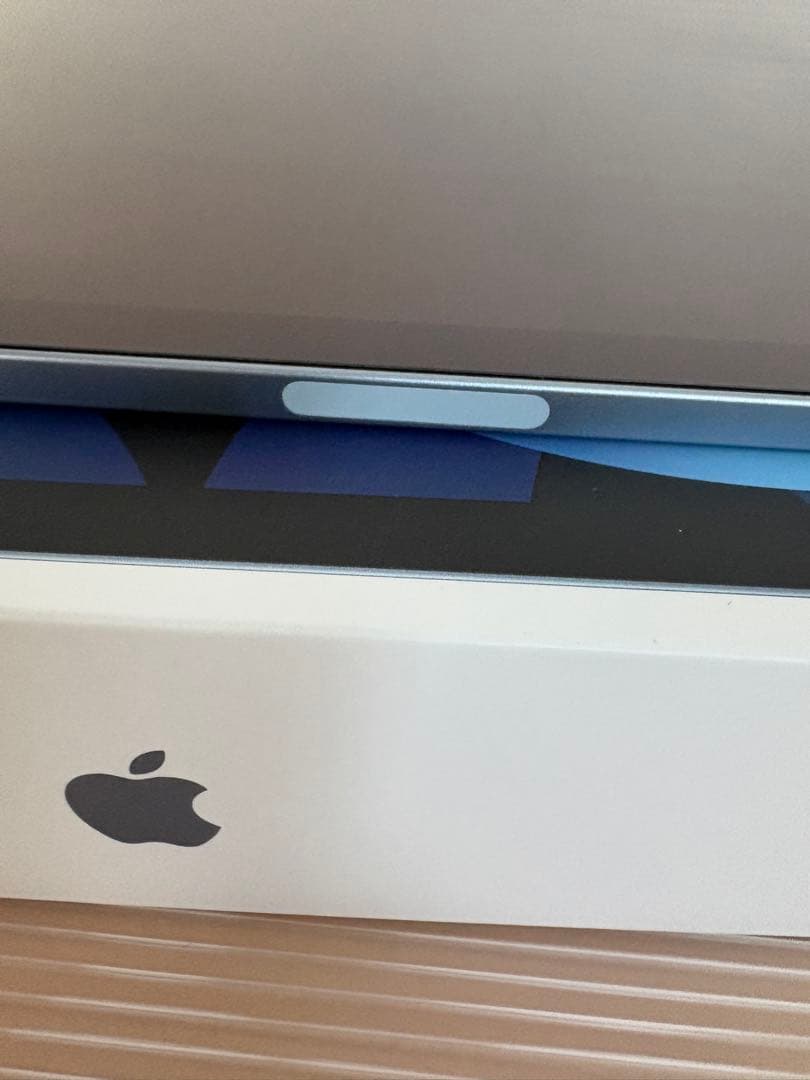 iPad Air4 256GB Wi-Fi アップルペンシル2付　スカイブルー