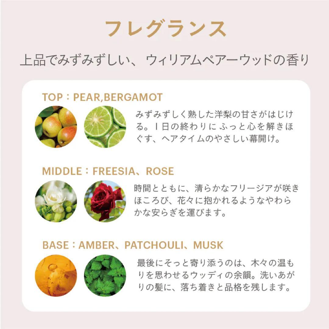 【即日発送】ESTABLISHED コアプレックス シャンプー＆トリートメント