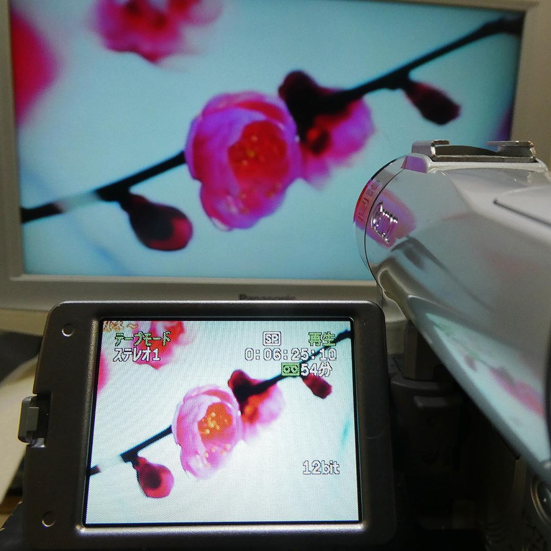 キャノン DM-FV M200 動作良好 MiniDVビデオ DVDダビングに