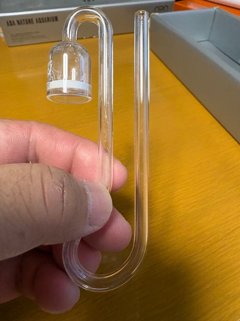 ADA アクアデザインアマノ　パレングラスミニ