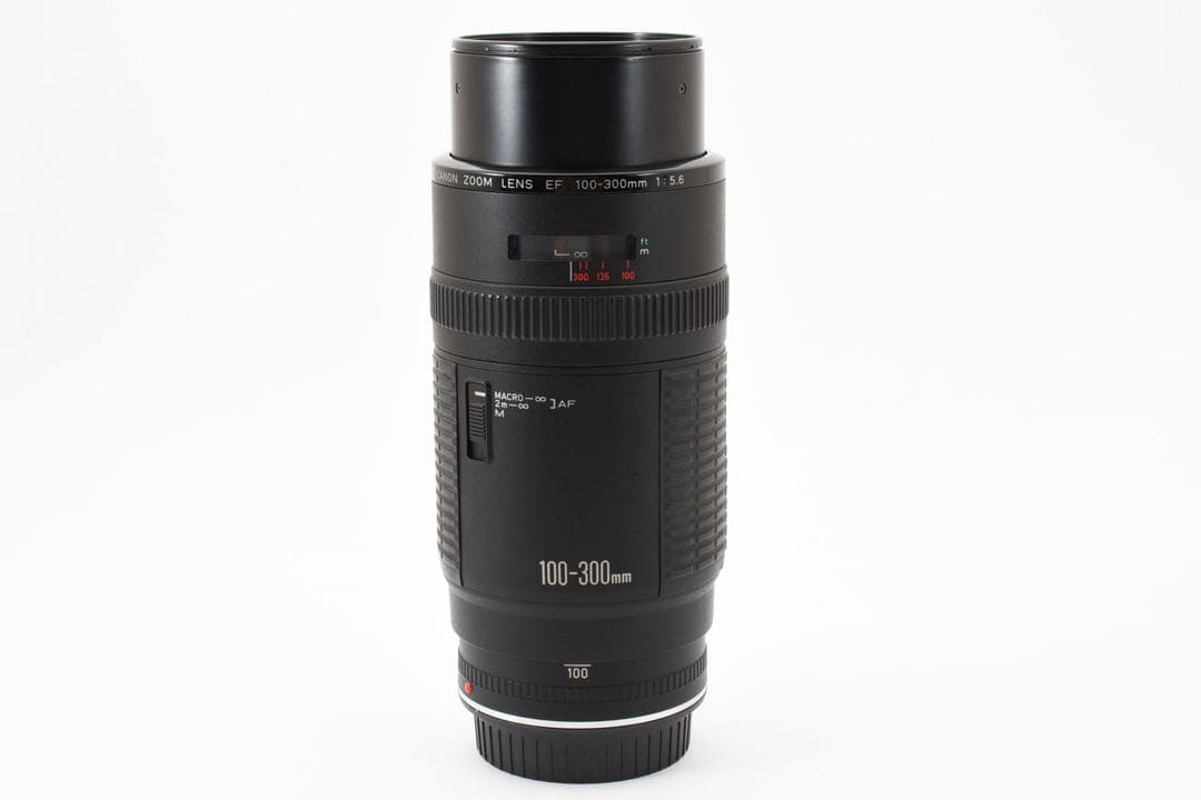 迫力300㎜☆CANON ZOOM LENS EF 100-300mm F5.6