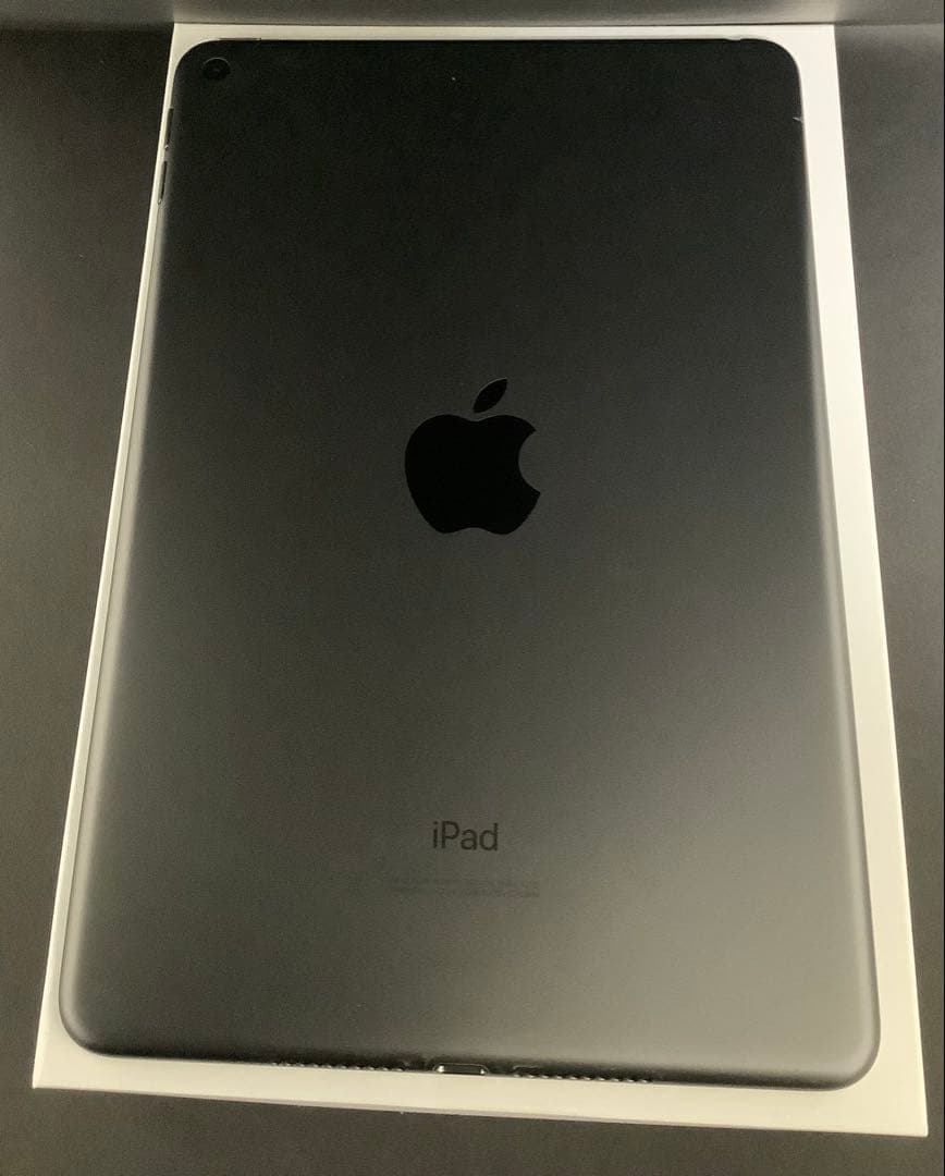 iPad mini5 256GB Wi-Fi 箱あり Apple 即購入OK