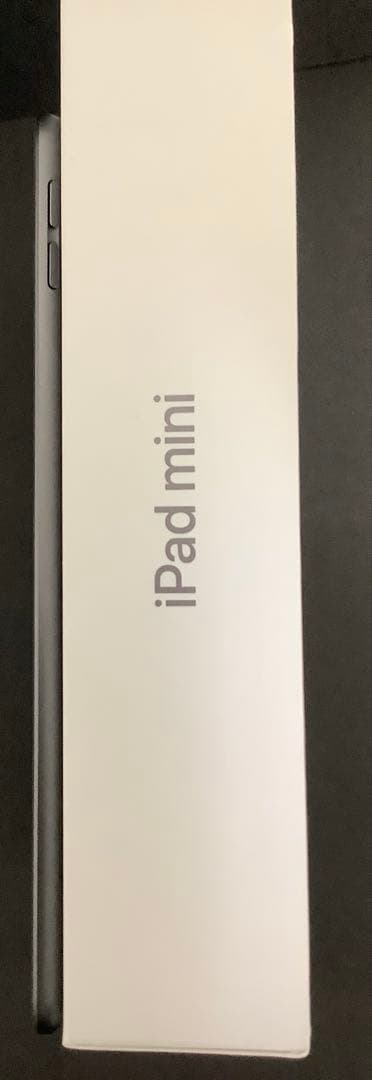 iPad mini5 256GB Wi-Fi 箱あり Apple 即購入OK