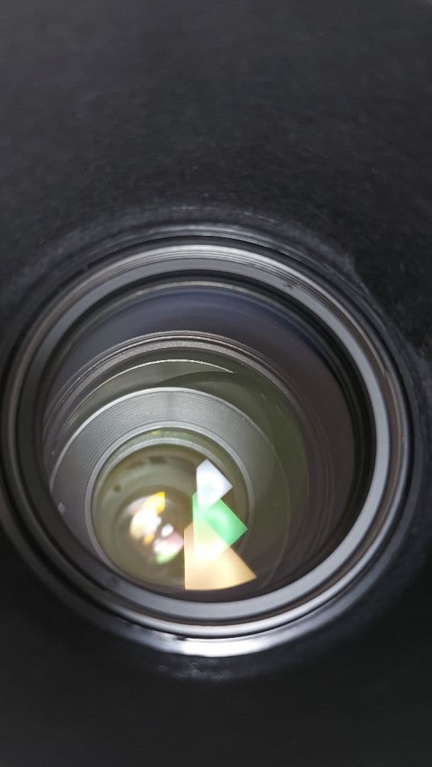 Canon EOS 650 + EF 100-300mm F5.6 Lレンズ