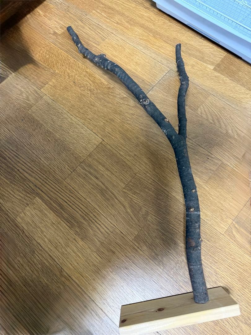 鳥かご、止まり木、水飲み、回し車など付属品 [送料込み]