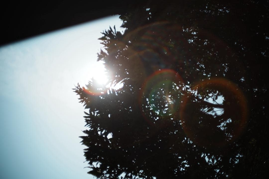 【希少8枚玉】動作◎ Super Takumar 50mm F1.4 463