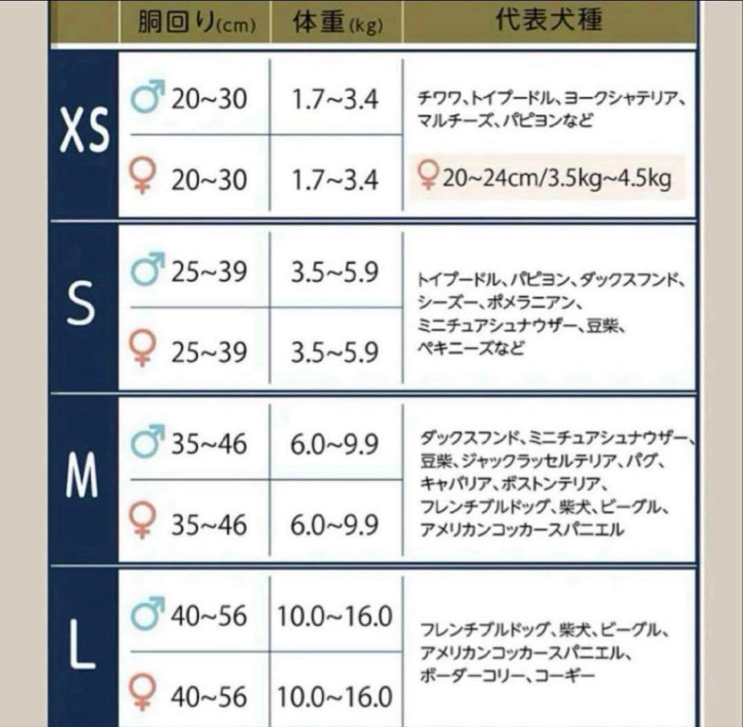 うんコロキャッチ　Lサイズ⭐️最新改良版⭐️