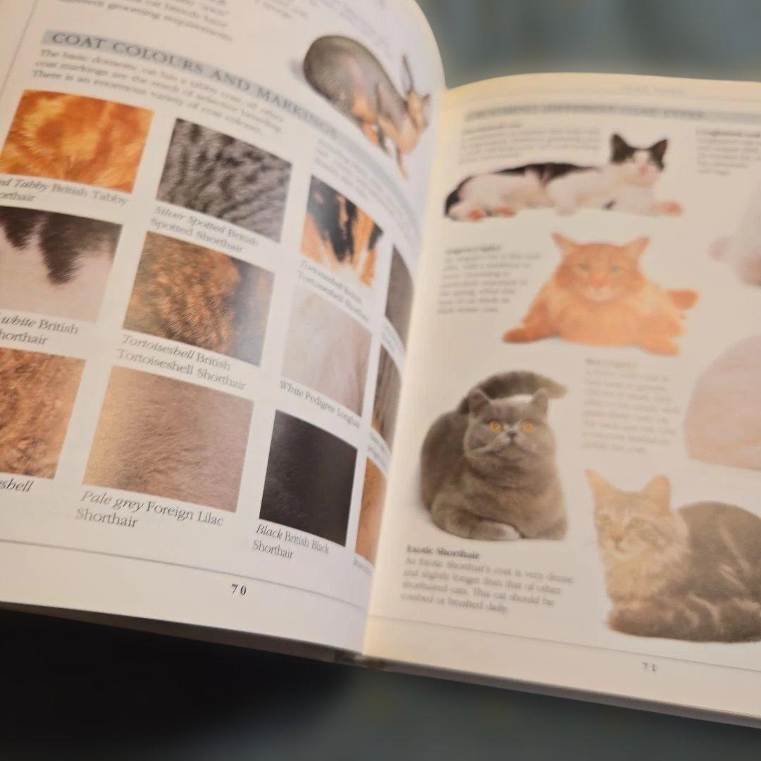 洋書【猫の育て方・治療の本】CAT CARE MANUAL★都内からメルカリ便