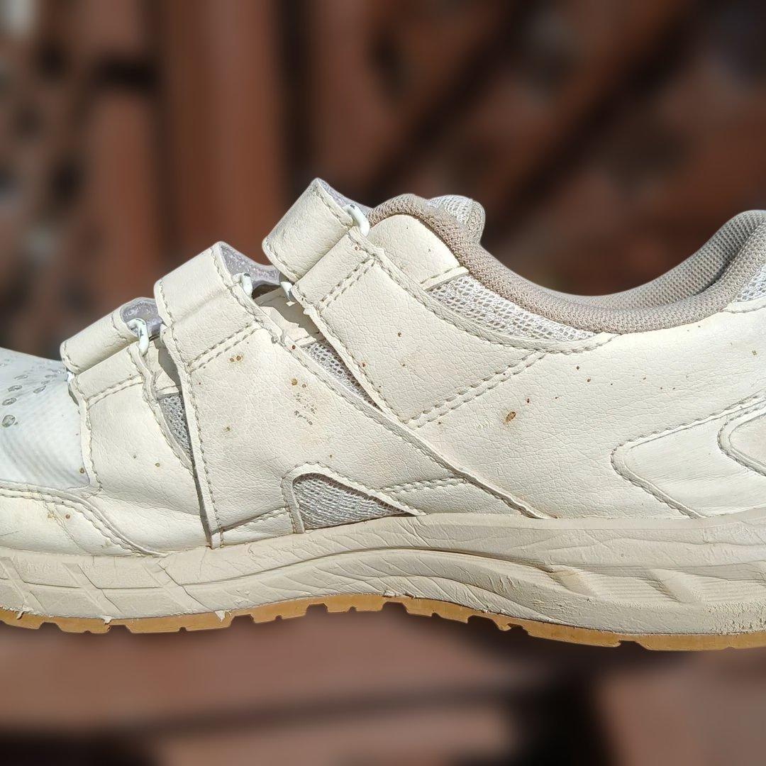 ASICS アシックス　ウィンジョブ　CP112 安全靴　電工　設備