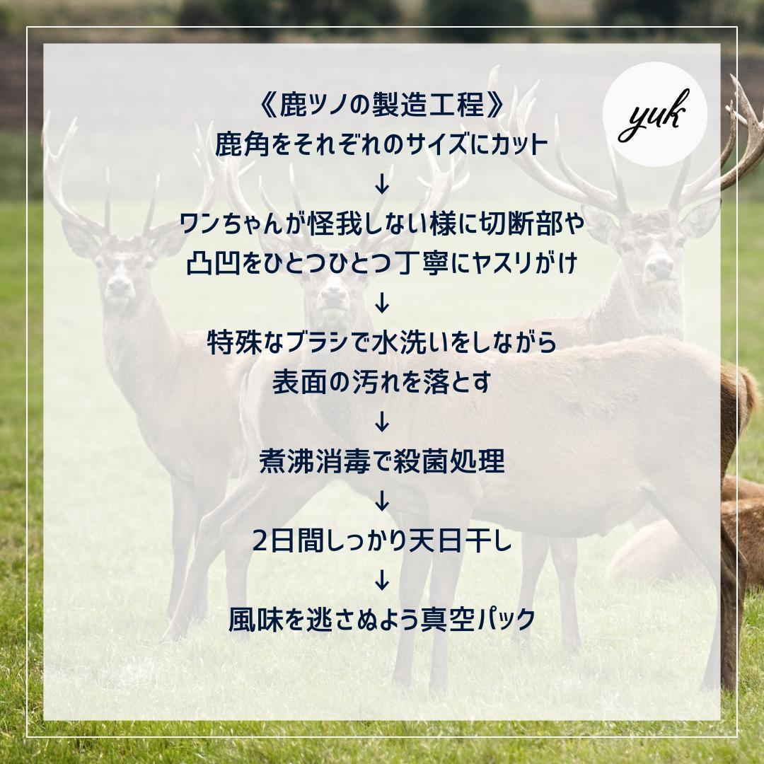 超大型犬用お試し3本セット　四つ割り＆半割り＆一本物根元　犬のおもちゃ