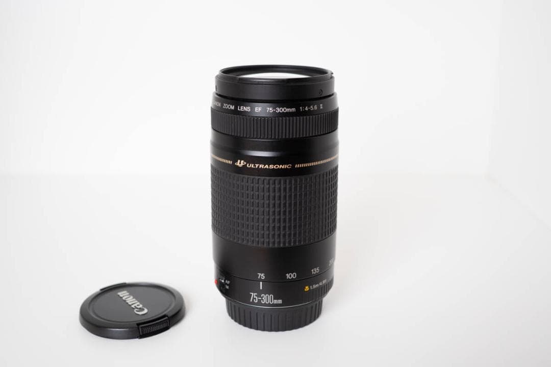 【外観美品】Canon EF 75-300mm F4-5.6 II USM