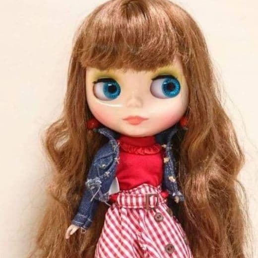 ブライス ネオブライス カスタムブライス ドール