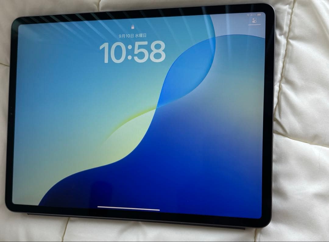 充電方法に難あり　Apple iPad Pro 12.9インチ 第3世代