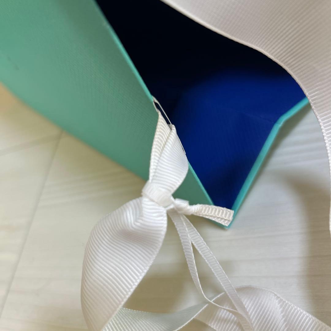 Tiffany & Co. ショッピングバッグ　ニューヨーク本店　チャーム付