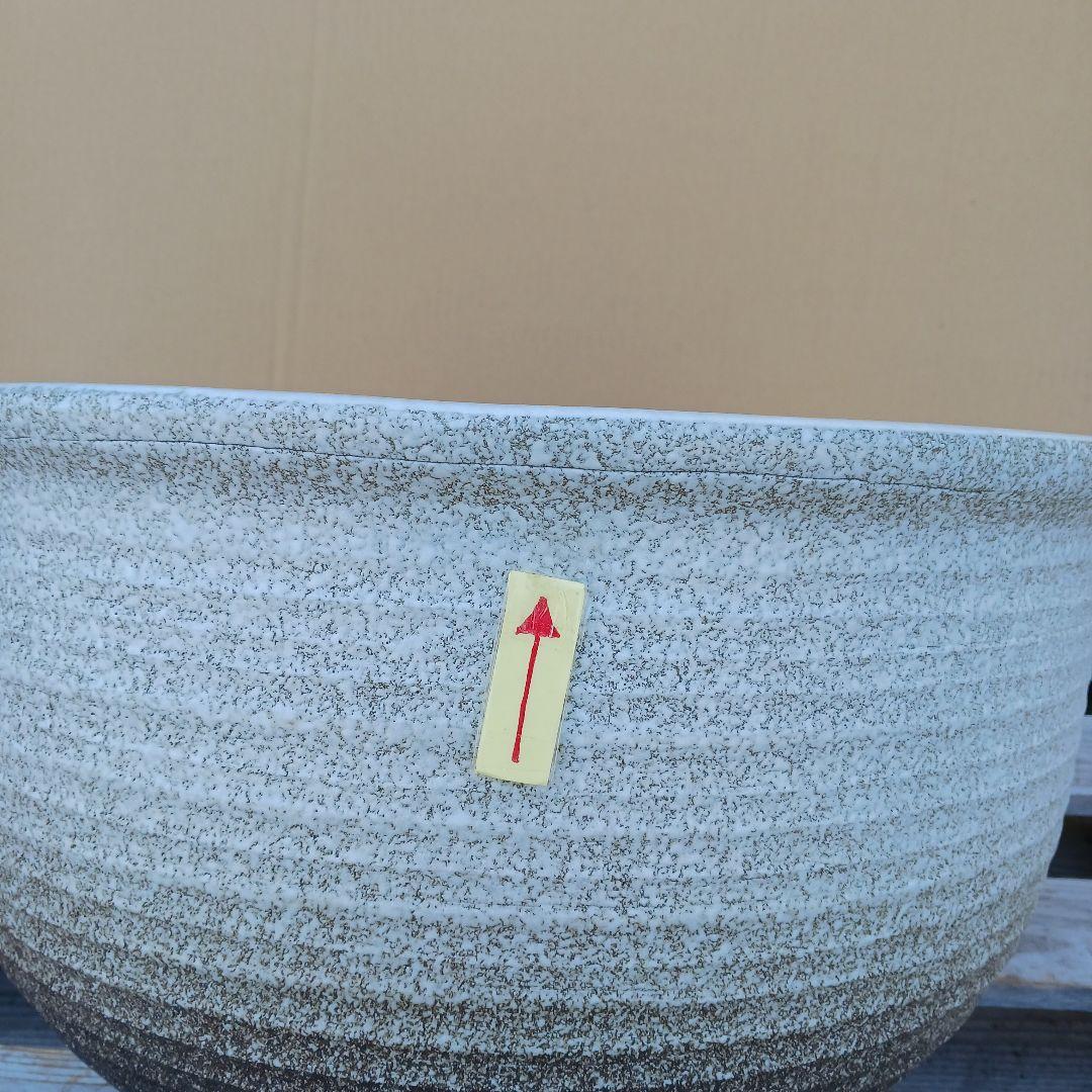 新品　∅50　陶器　睡蓮鉢　特大　メダカ鉢　白　ホワイト　ルーバー　難有　LWH