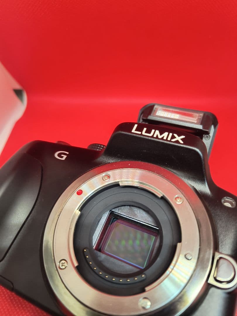 パナソニック LUMIX G3 DMC-G3